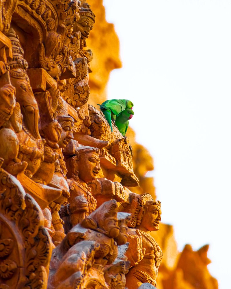 Photograph by Vinoth