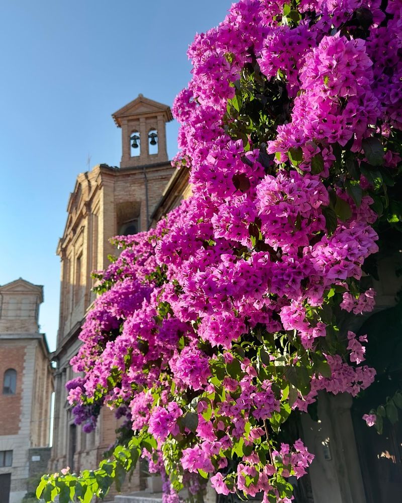 Photograph by Лариса Акинчиц