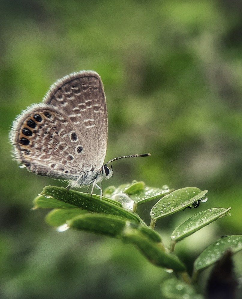 Photograph by Ganesh Cheemakurthi