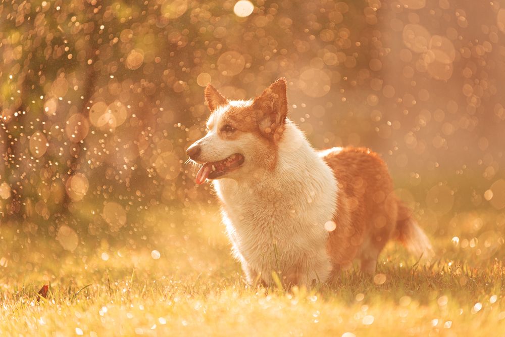 Photograph by Мария