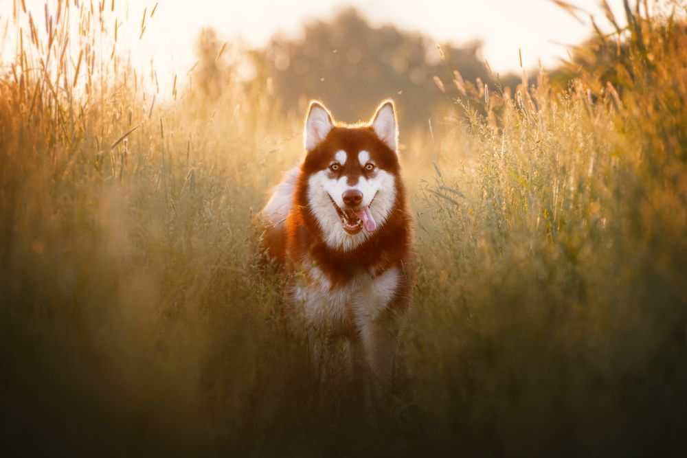 Photograph by Мария