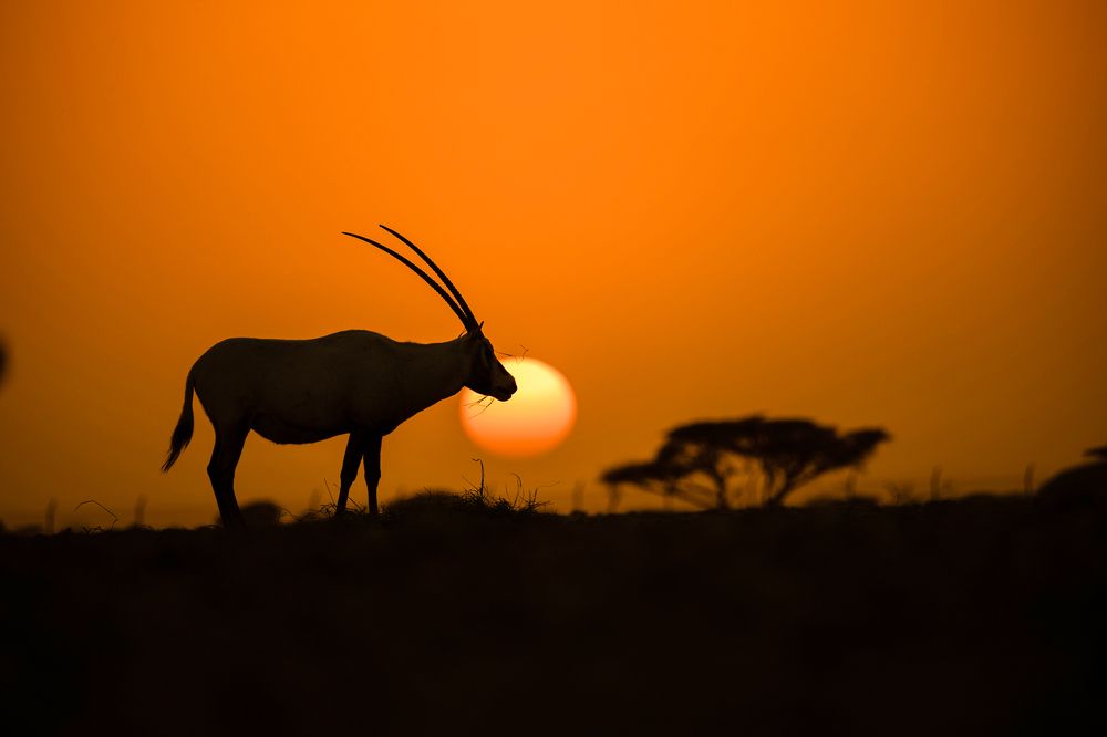 Photograph by Nagarajan P