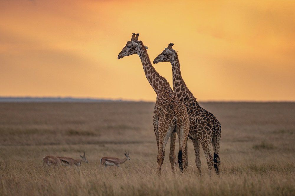 Photograph by Nagarajan P