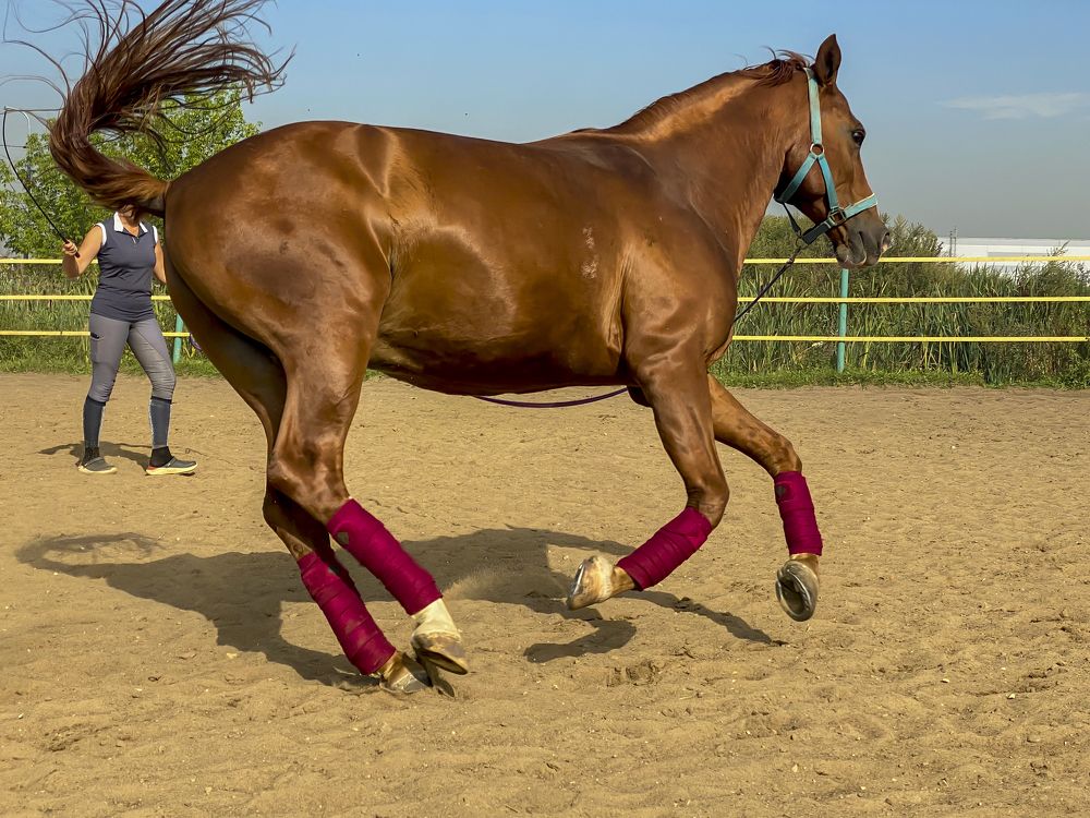 Photograph by александр лялин