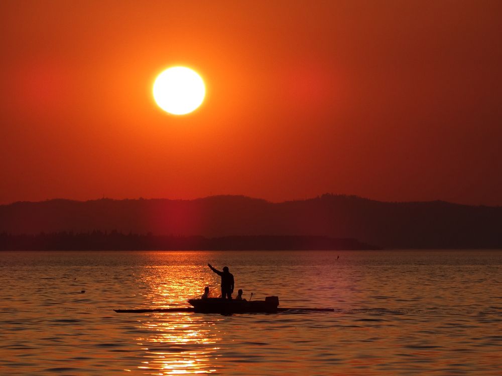 Photograph by Мила Милая