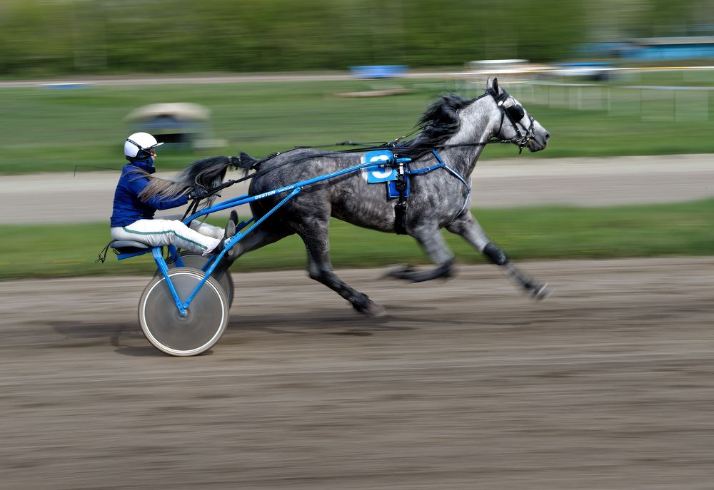 Photograph by Александр Перегудов