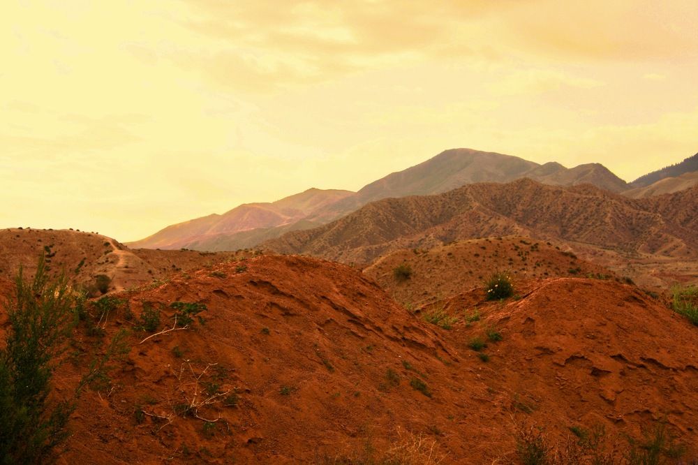 Photograph by Елена Ким