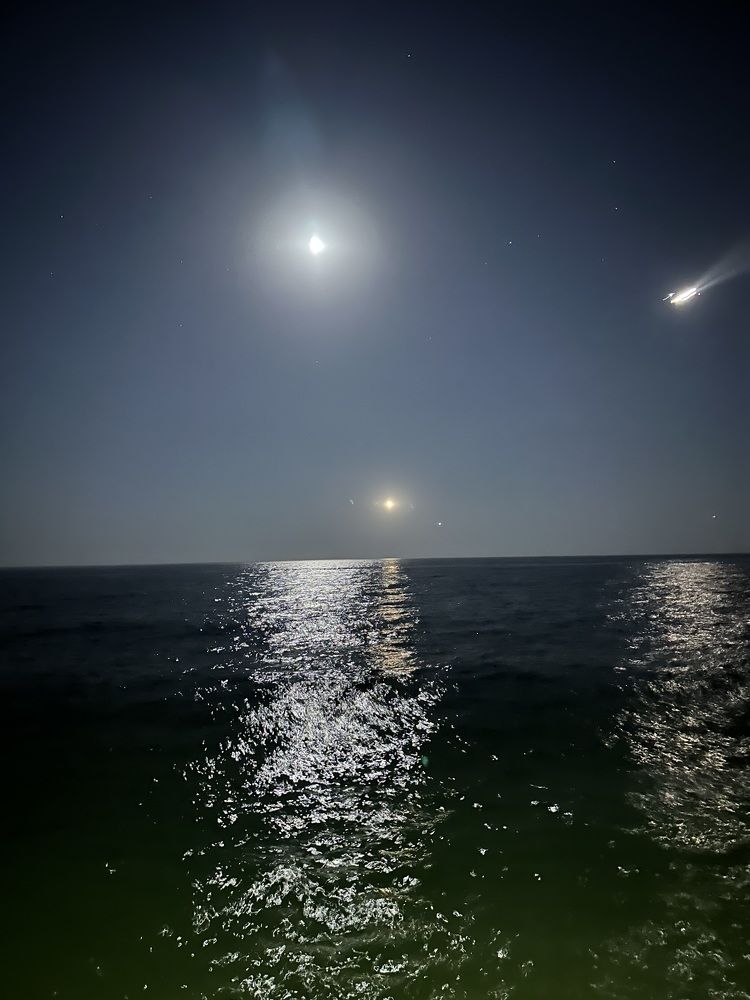 Фотография автора Анна Голубева