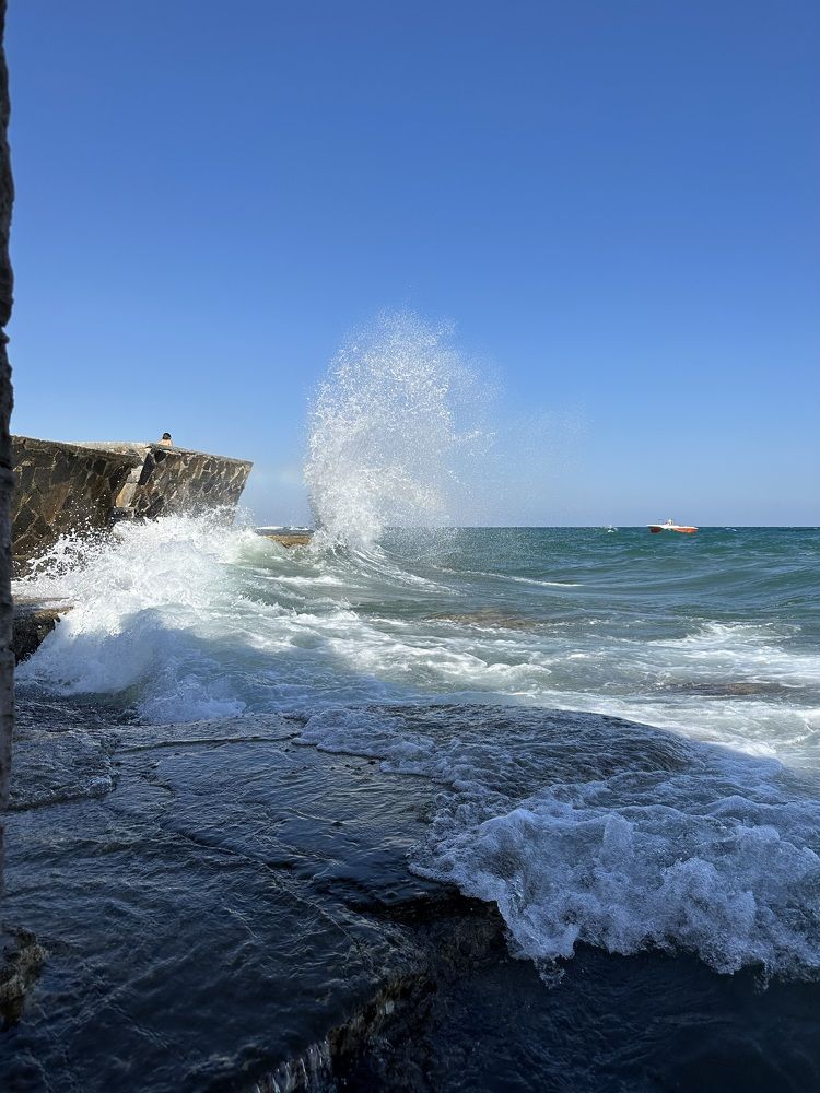 Фотография автора Анна Голубева