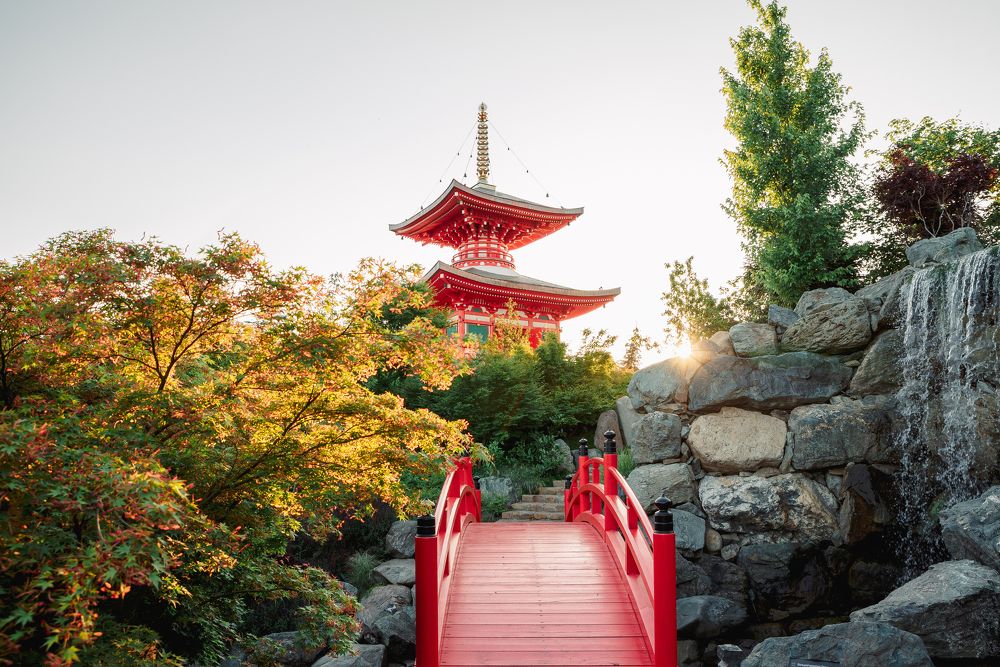 Японский стиль в России