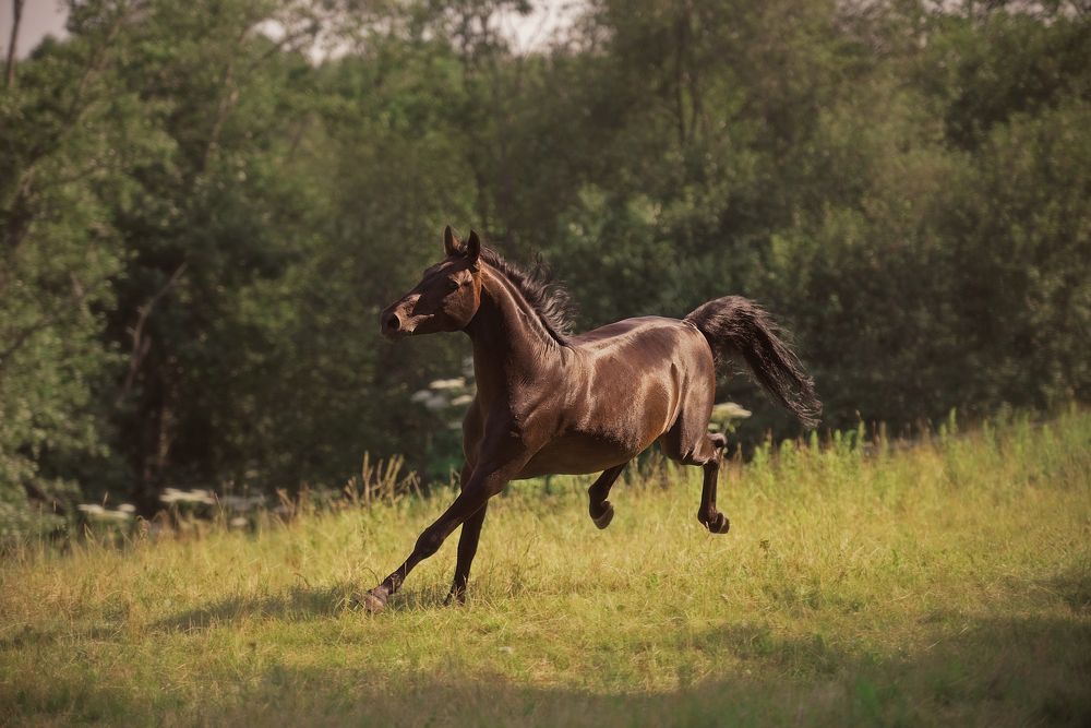 Photograph by Светлана Реунова