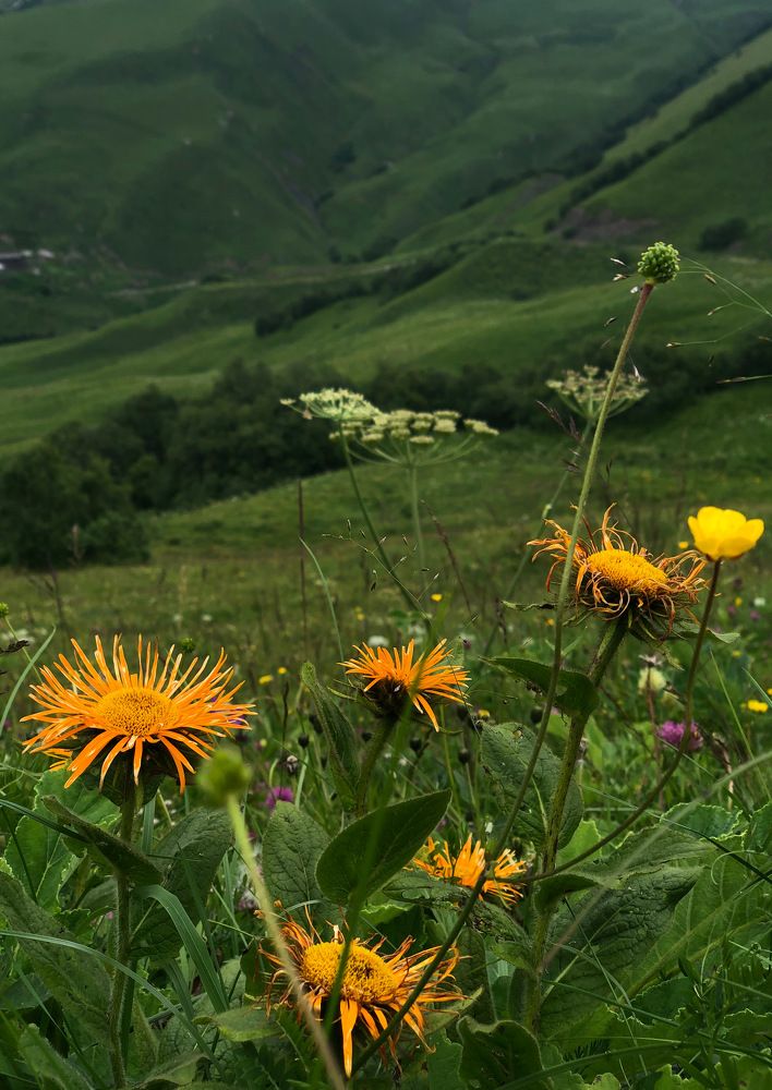 Photograph by Людмила Евстратова