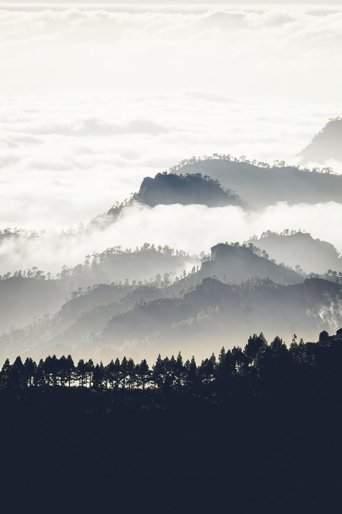 Photograph by Viktoras