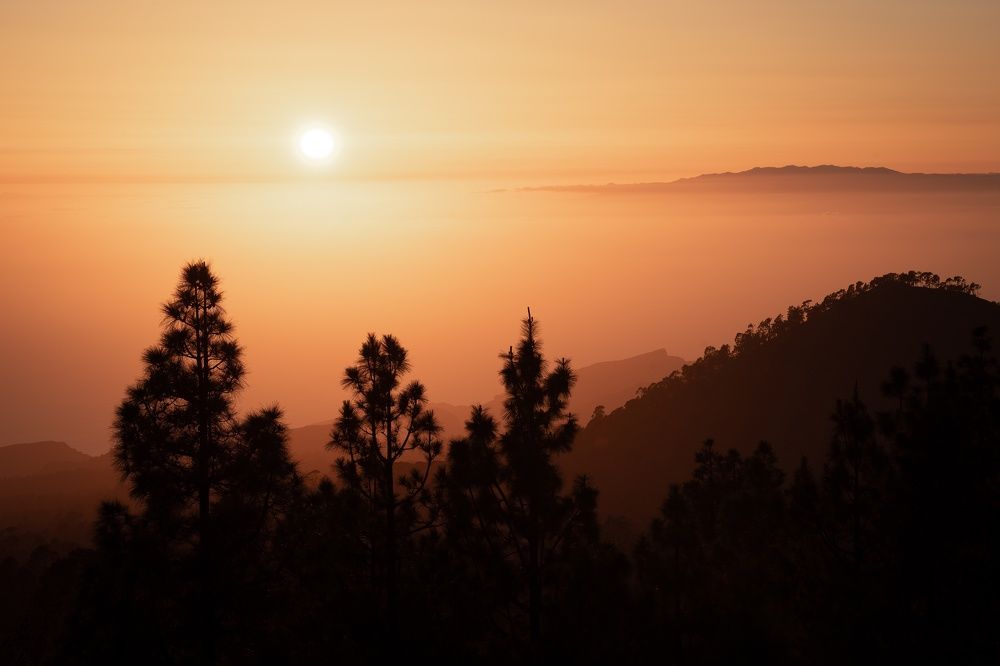 Photograph by Viktoras