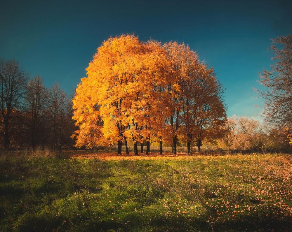 Фотография автора Котов Андрей