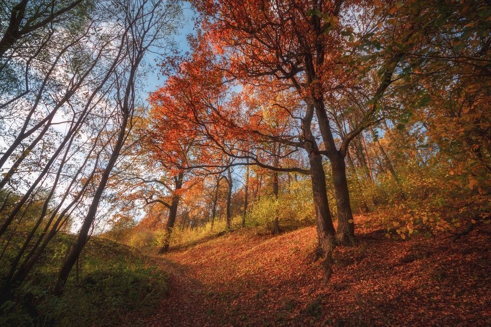Фотография автора Котов Андрей