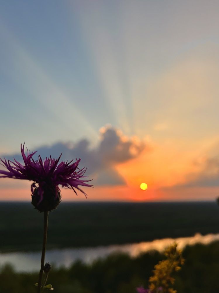 Photograph by Татьяна Зенина