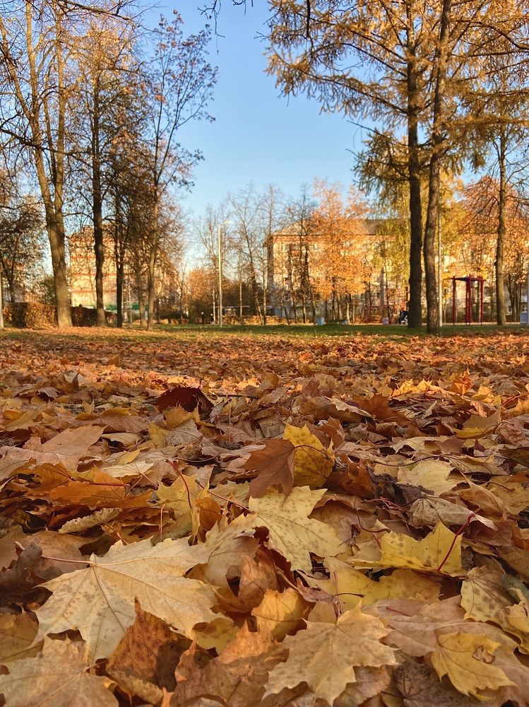 Photograph by Татьяна Зенина