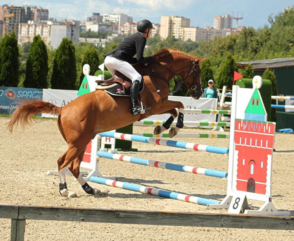 Photograph by Елена Фролова