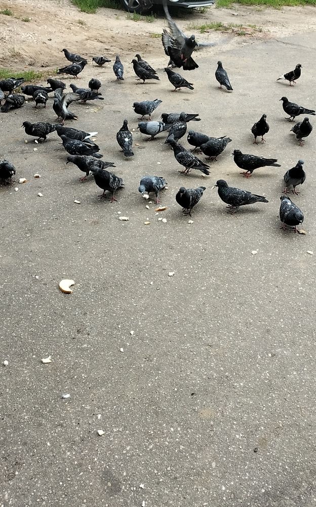 Photograph by Юлия Шалыгина