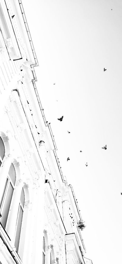 Photograph by Гибина Екатерина