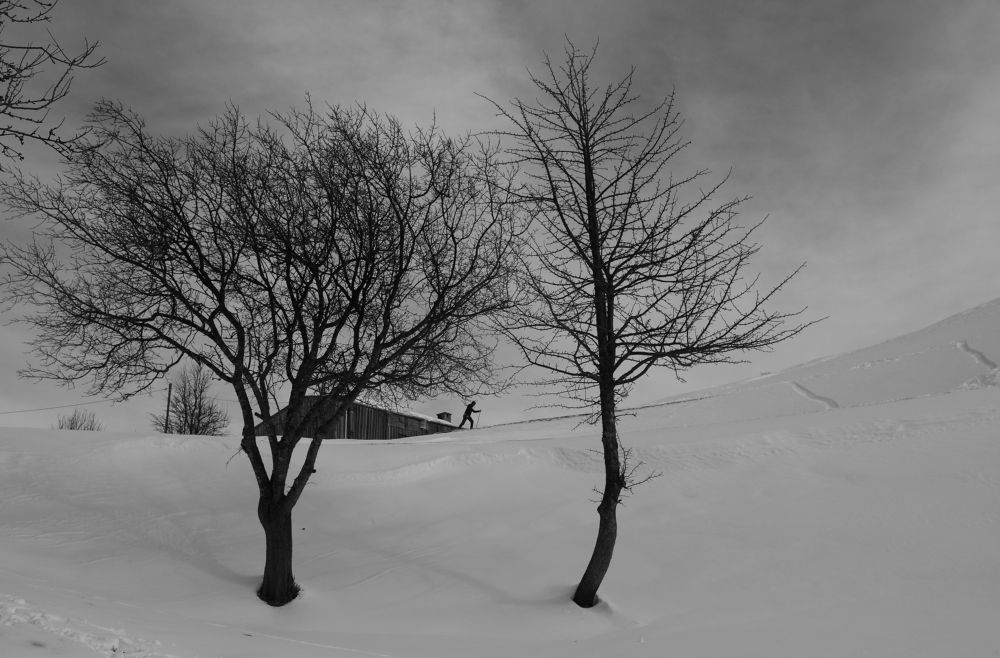 Photograph by Esin Sağır