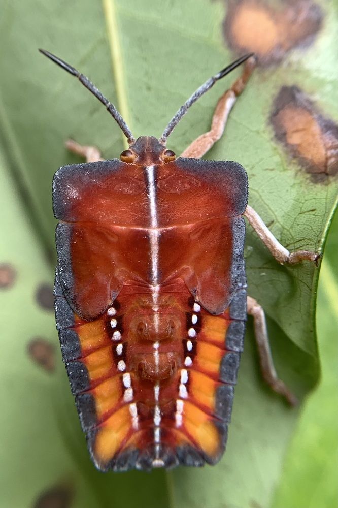 Photograph by Lesly Grace Advincula