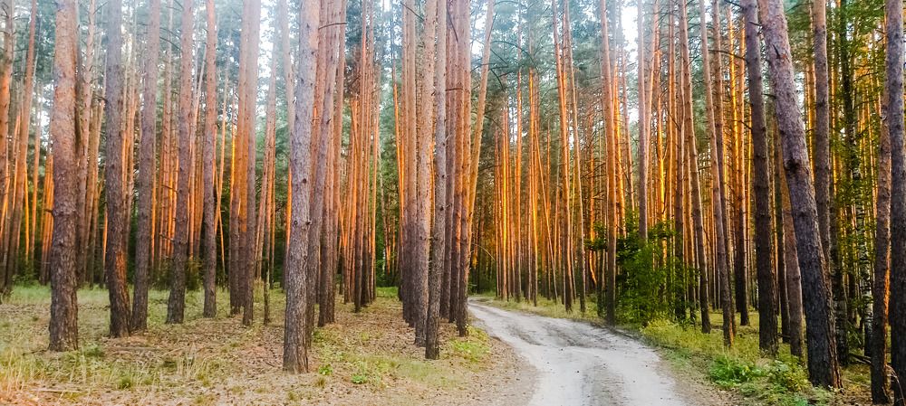 Photograph by Евгений Юдин