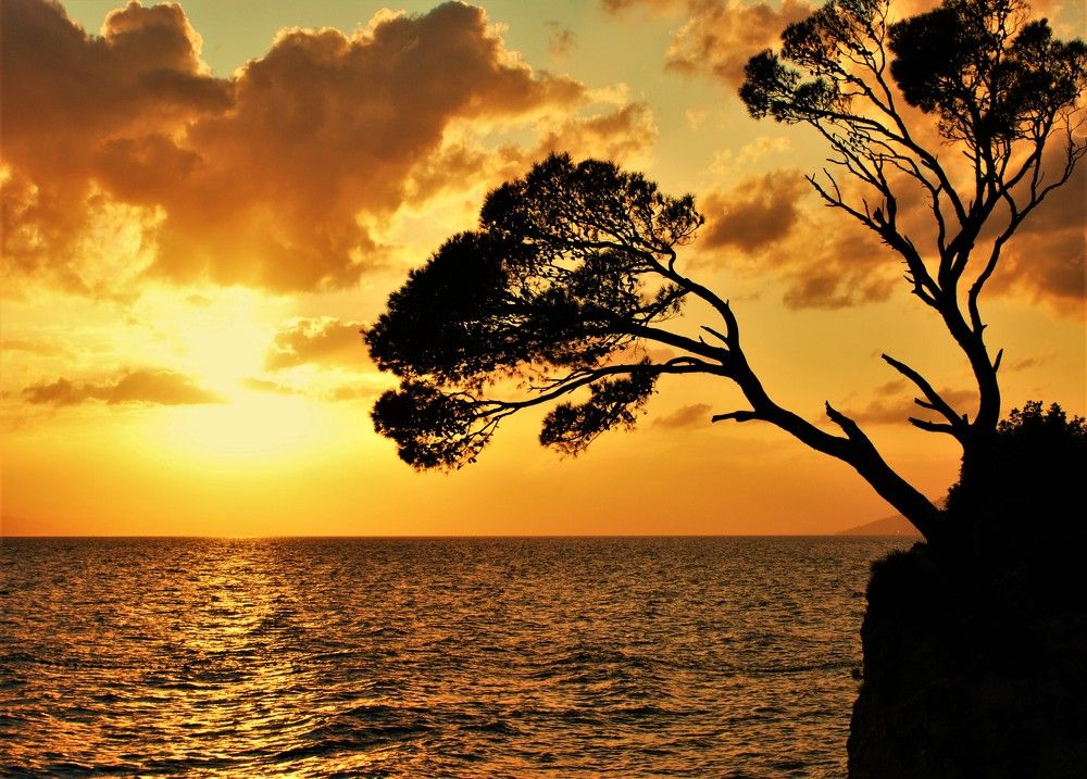 Photograph by Марина Моссий