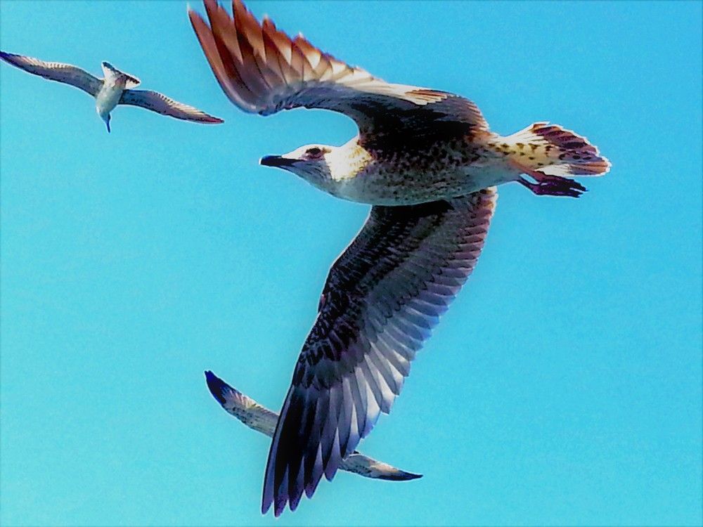 Photograph by Марина Моссий