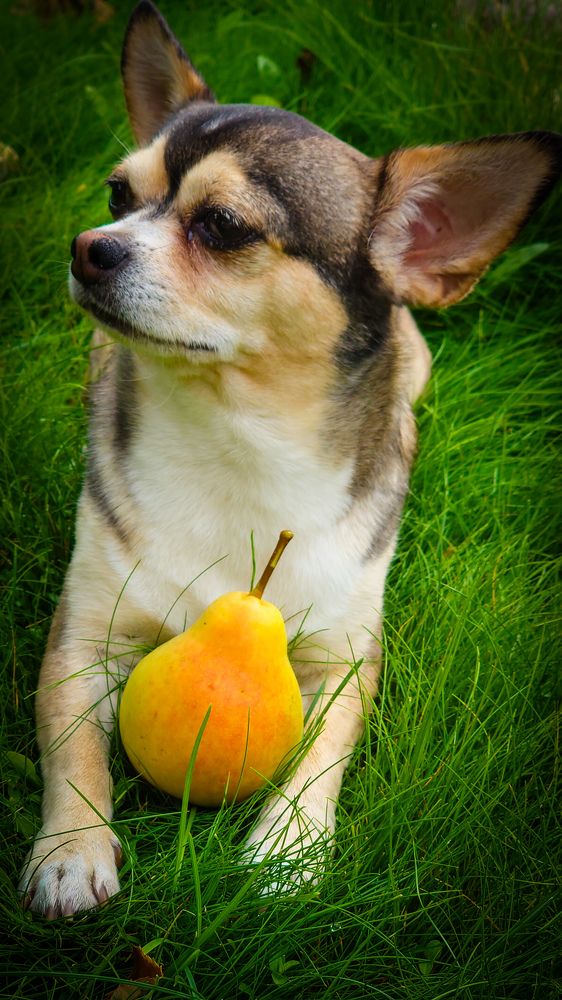 Фотография автора Elena Ku