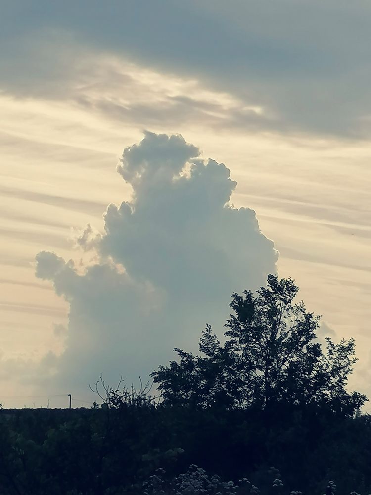 Бесподобные треугольники – облако и дерево