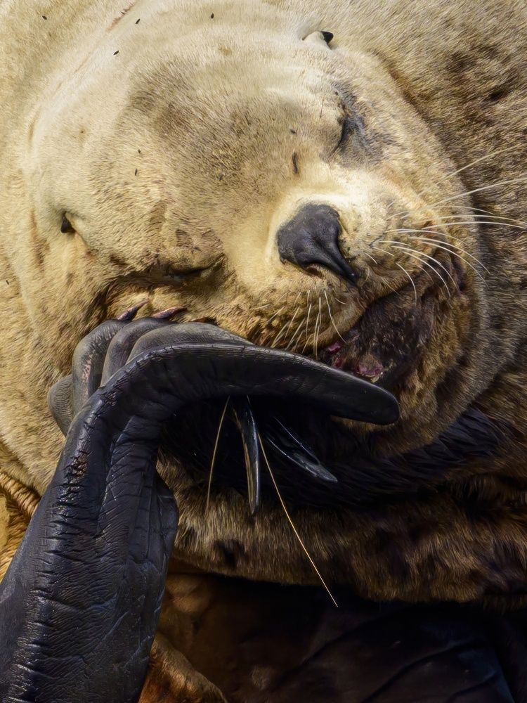 Photograph by Sergey Puponin