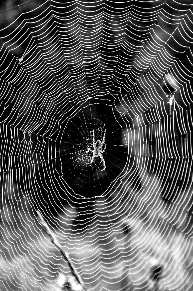 Photograph by Любовь Бусова