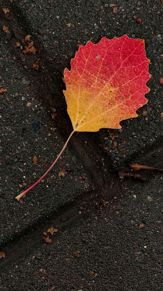 Photograph by Виктория Качан