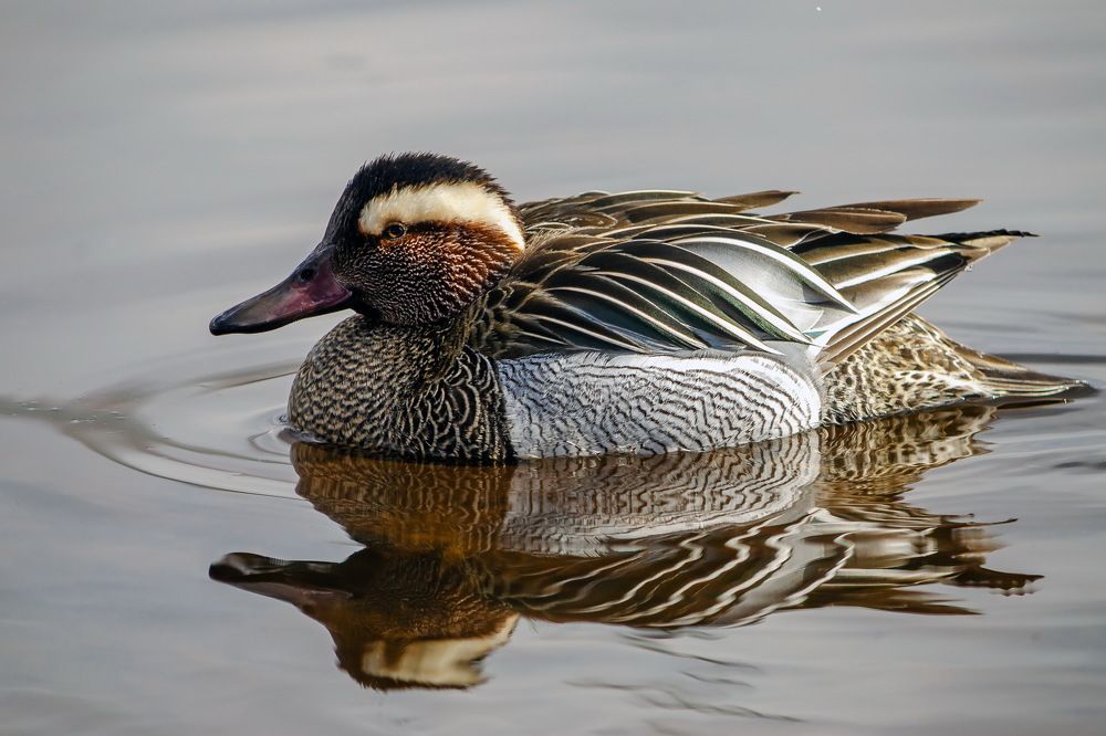 Photograph by Оксана Маховская