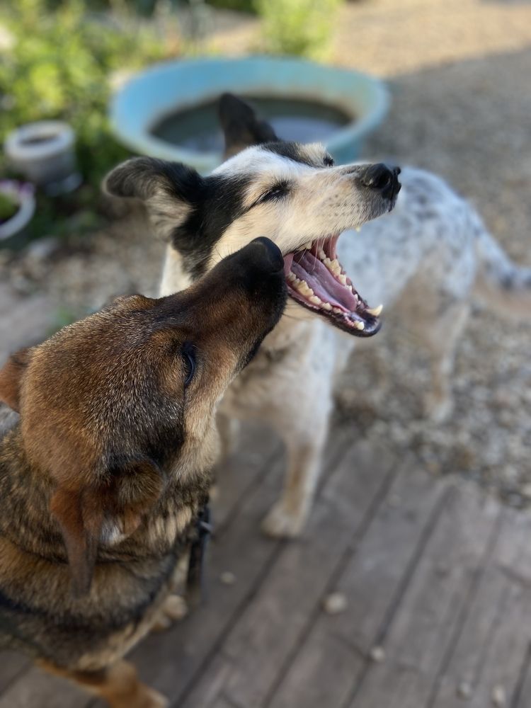 Photograph by Наталья Душакова