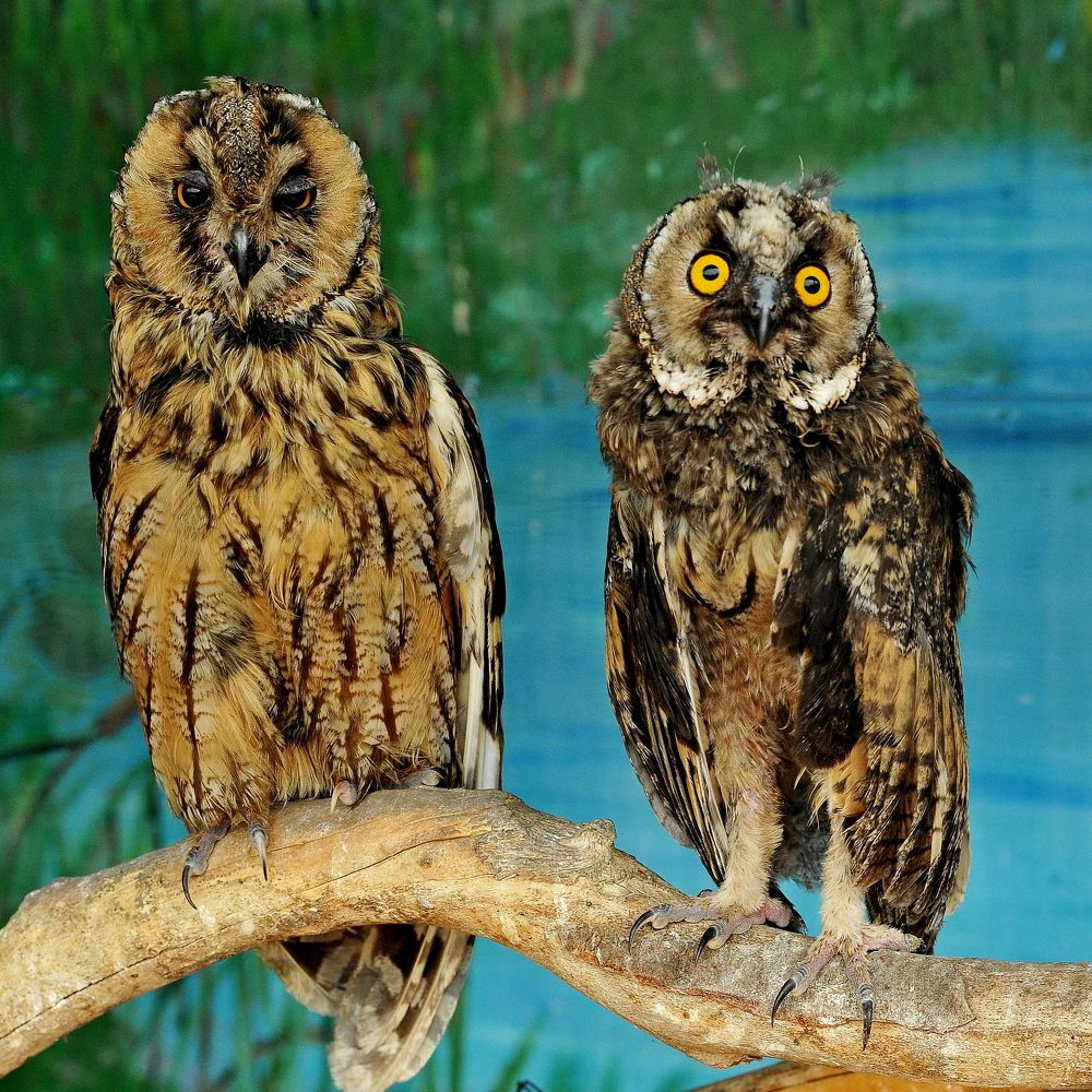 Photograph by Алексей Козлов