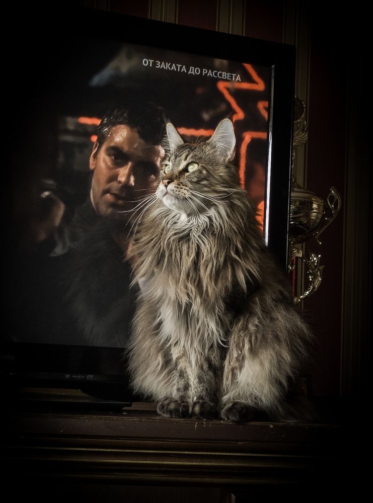 Photograph by Сергей Немчинов