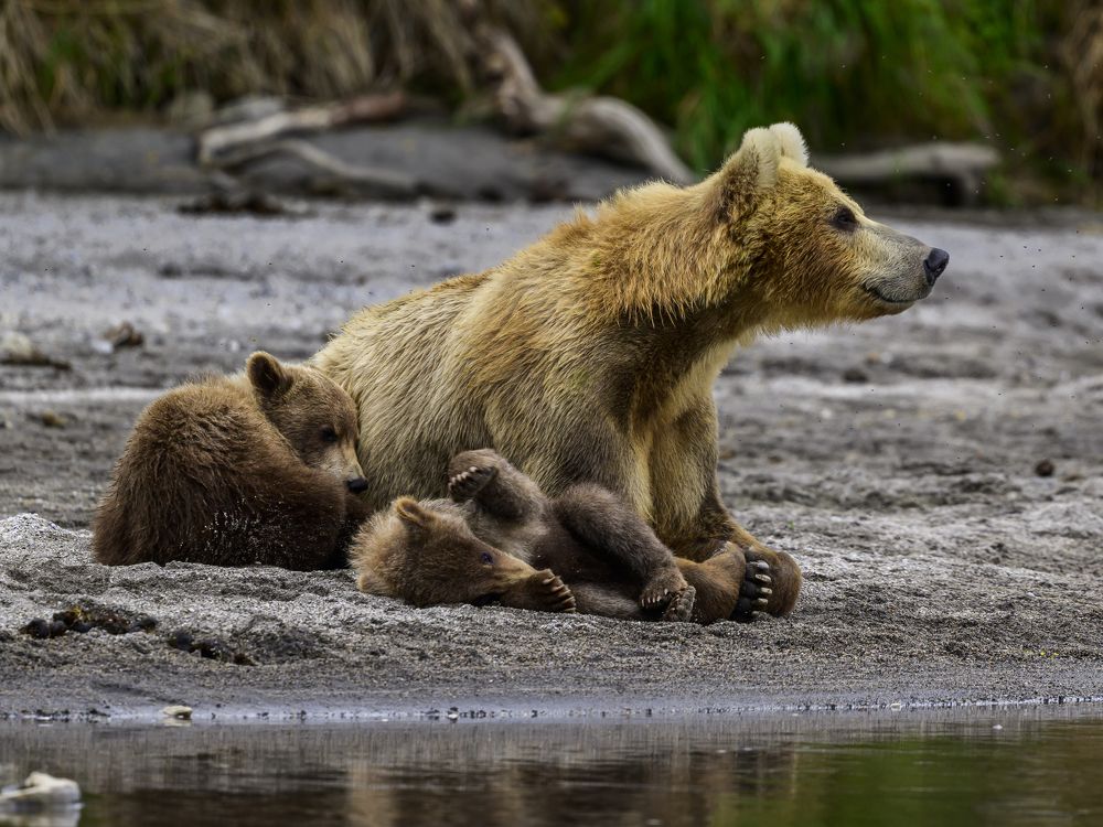 Photograph by Sergey Puponin