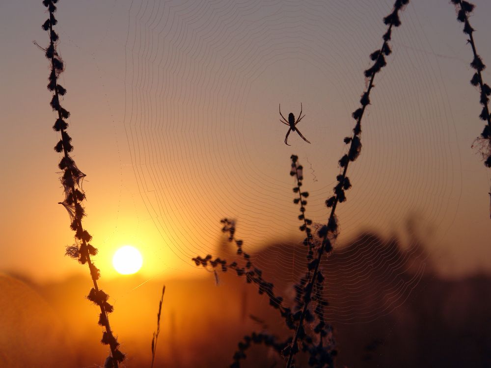 Photograph by Игорь Шевердин