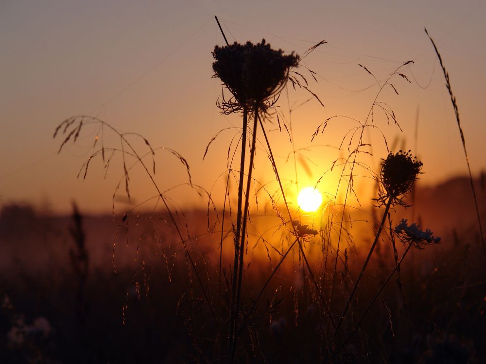 Photograph by Игорь Шевердин