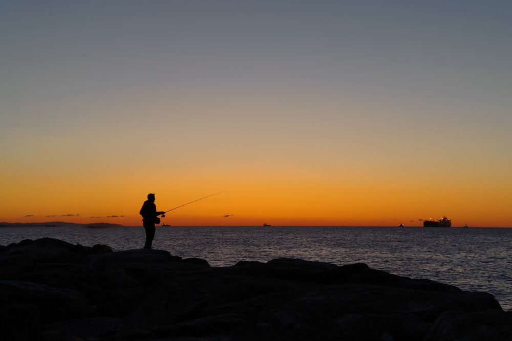 Photograph by Николай Фонарёв