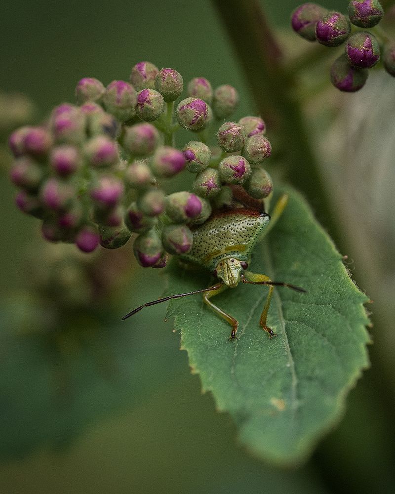 Photograph by Anna Sindikayeva