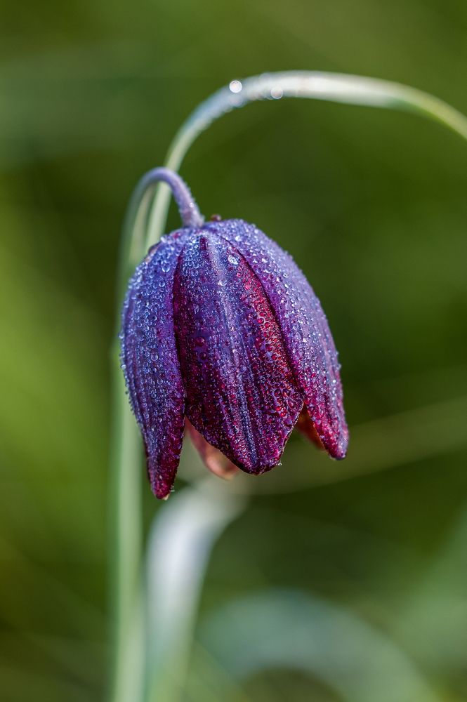 Photograph by Сергей Конюшенко