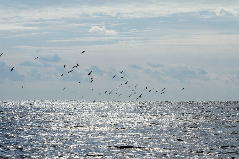 Photograph by Vladlen