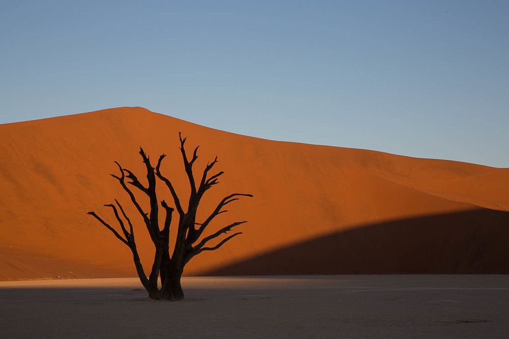 Photograph by Марина Маликова