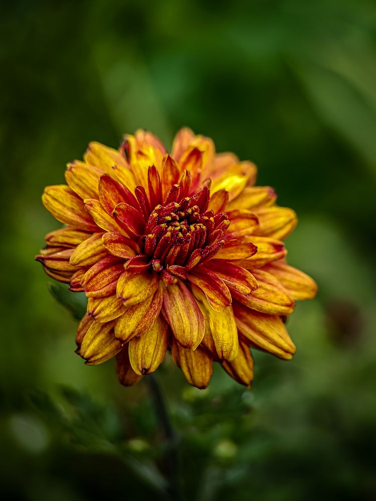 Photograph by Лора