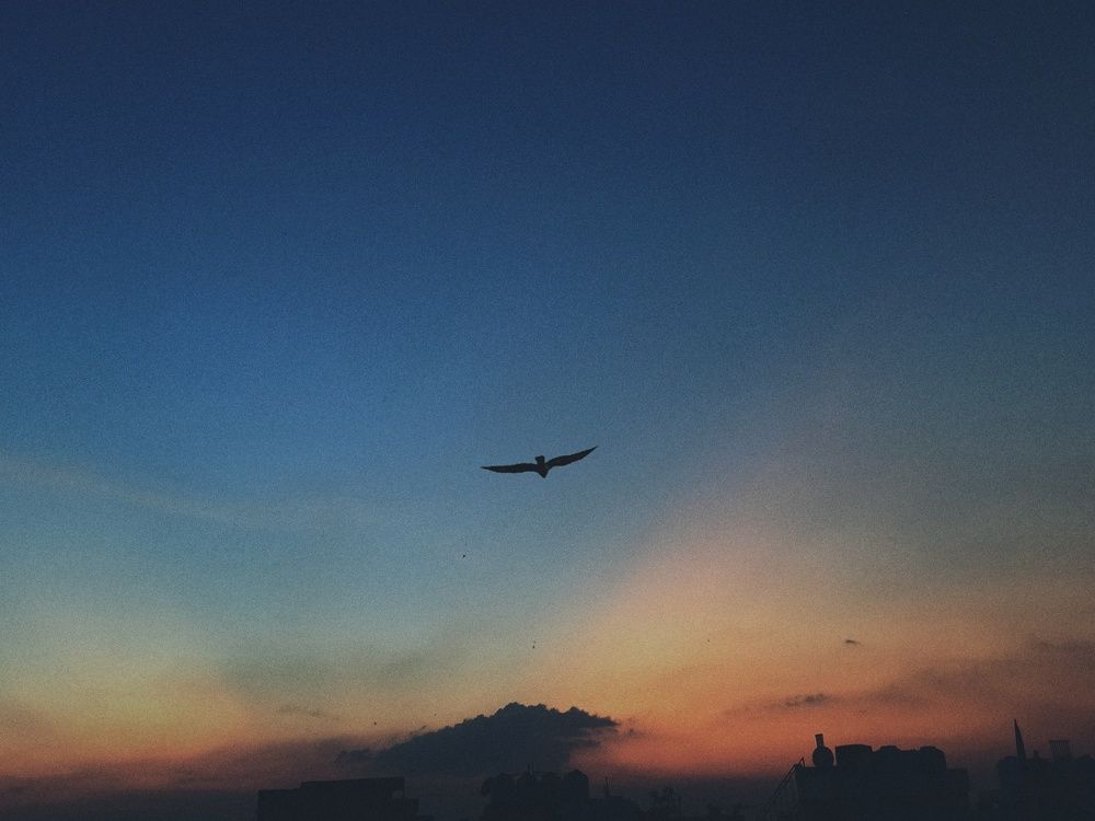 Photograph by Harshit Maurya