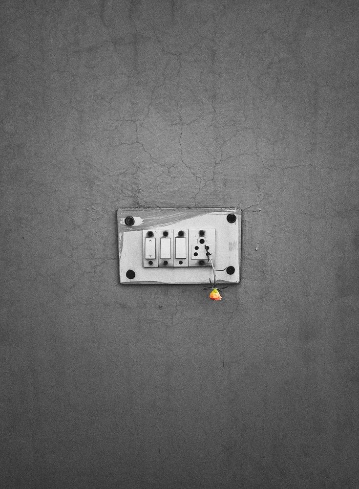 Photograph by Harshit Maurya